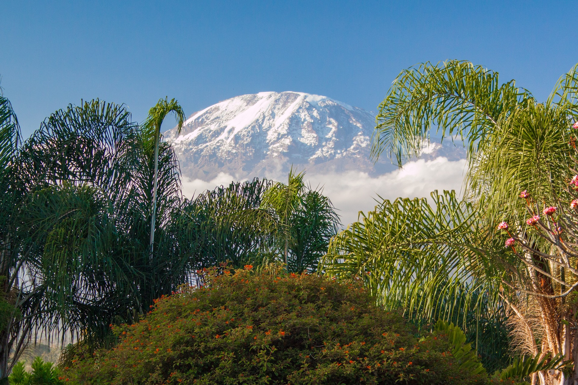 Tanzania